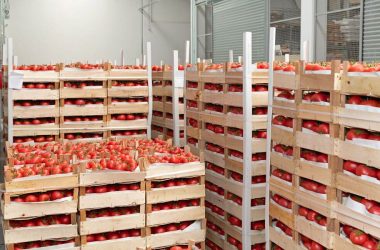 Ghana’s Import Paradox: Billions Spent on Imports, Yet Domestic Potential Ignored