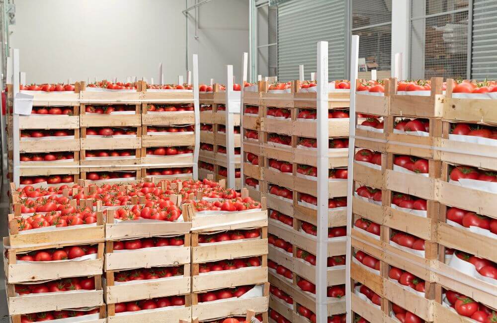 Ghana’s Import Paradox: Billions Spent on Imports, Yet Domestic Potential Ignored