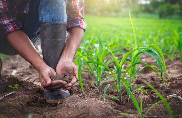 Embracing Sustainable Farming Practices for a Greener Tomorrow