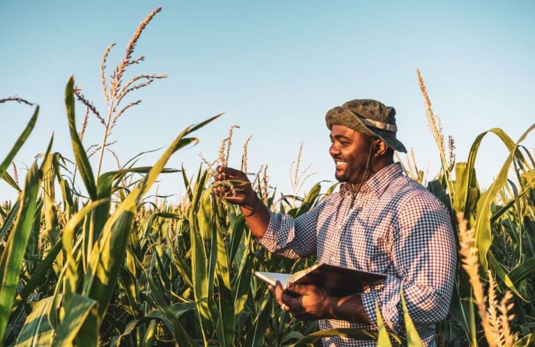 The Timely Art of Agriculture: Why Every Second Counts