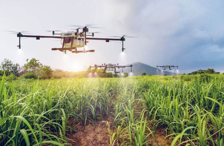 The Art of Agriculture: A Symphony of Patience and Expertise