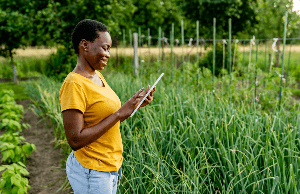 Screenshot 2025-06-27 022131