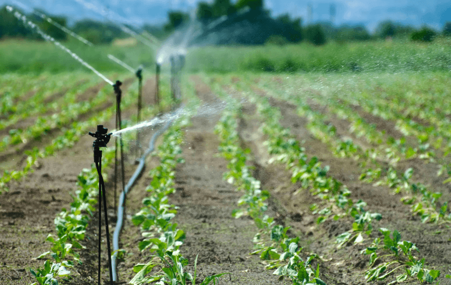 Screenshot 2025-06-27 022324